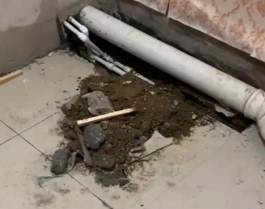 让胡路卫生间漏水检测哪家好