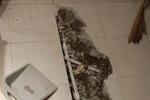 让胡路卫生间漏水检测电话